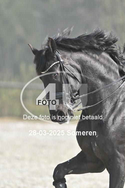 250328 0076