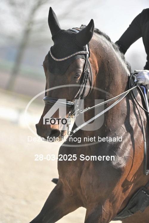 250328 0177