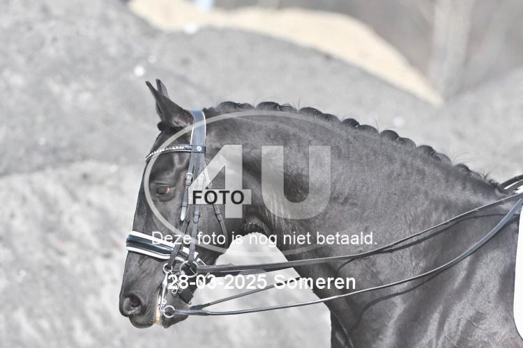 250328 0182