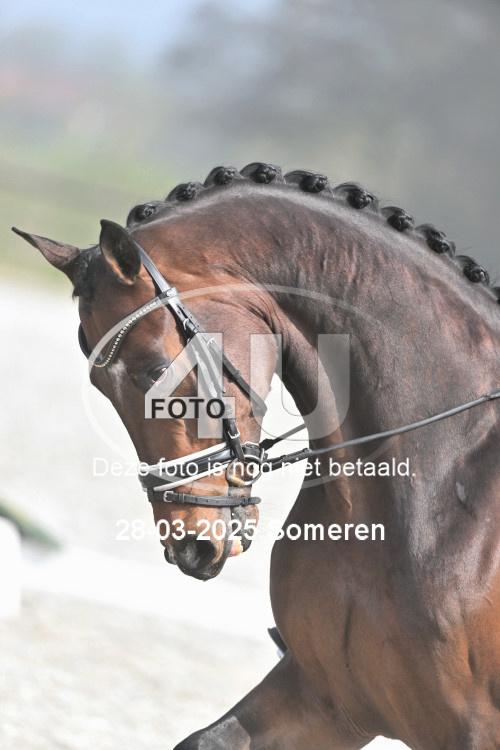 250328 0250