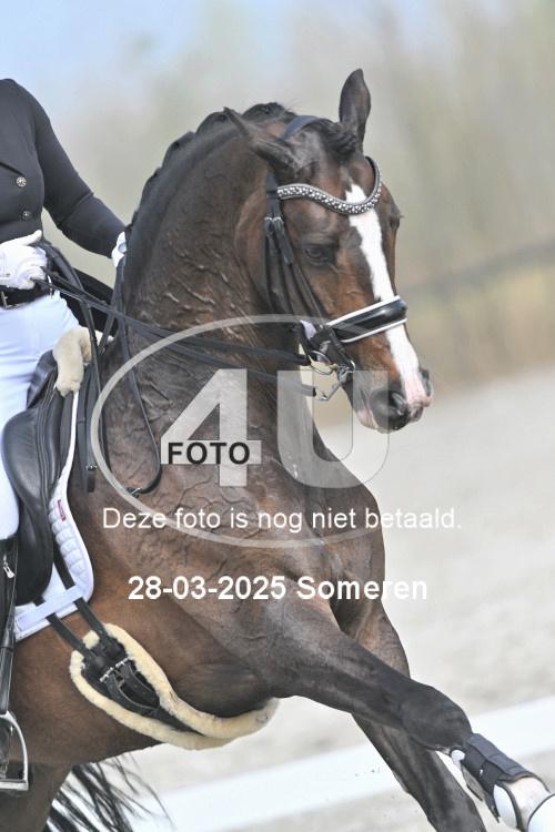 250328 0310