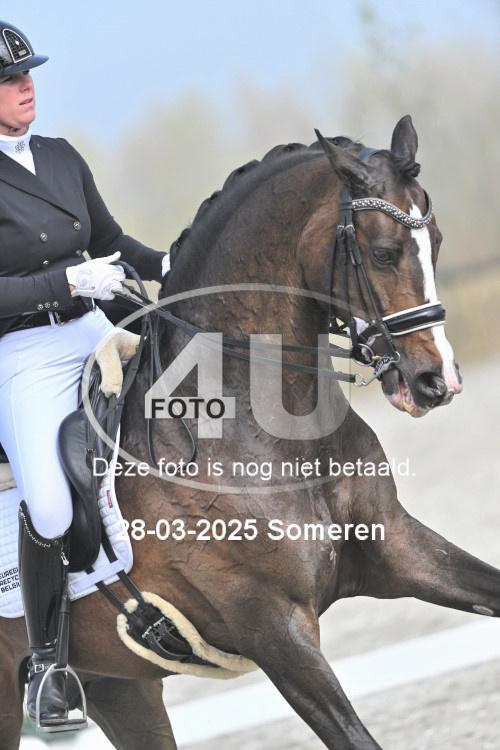 250328 0311