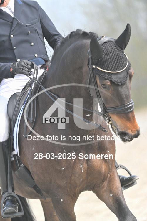 250328 0341