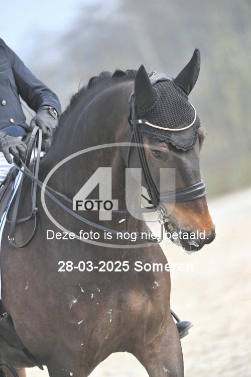 250328 0343