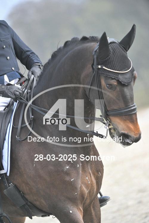 250328 0344