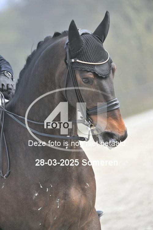 250328 0345