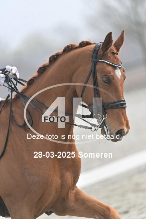 250328 0361
