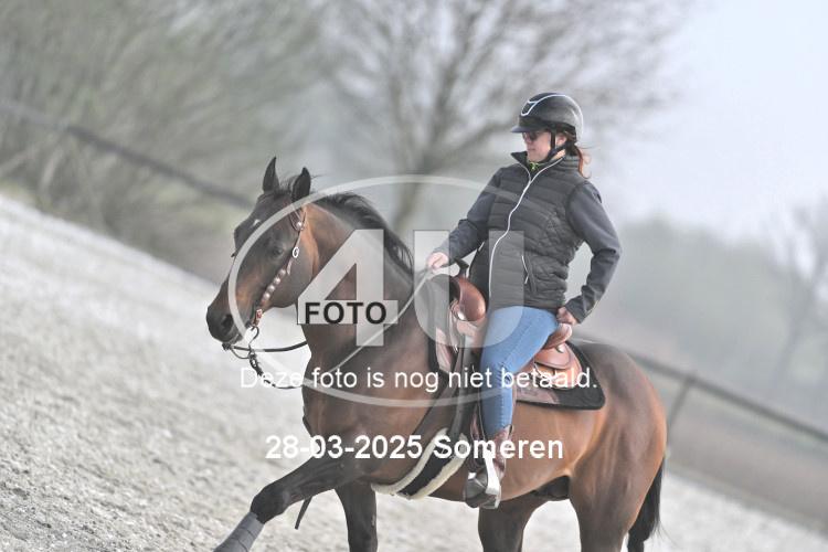 250328 0494