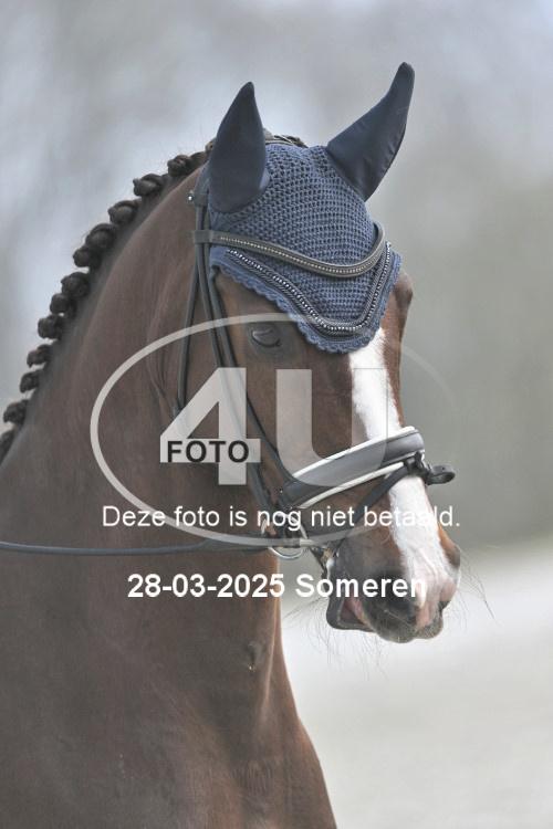 250328 0504