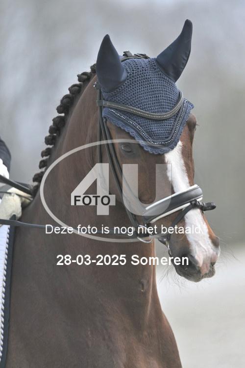 250328 0505