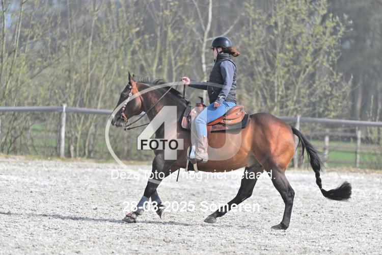 250328 0530