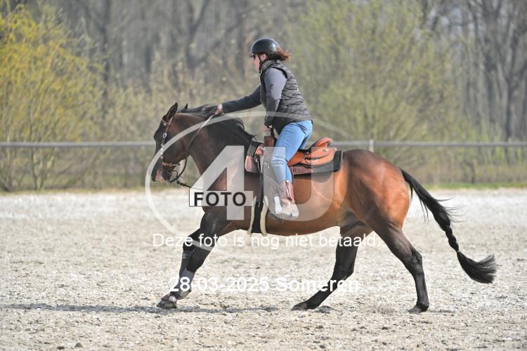 250328 0532