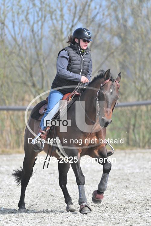 250328 0542