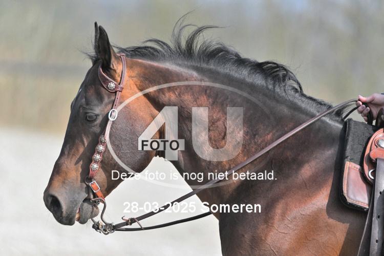 250328 0543