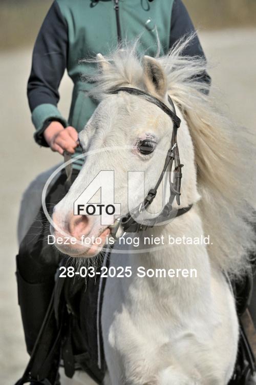250328 0667