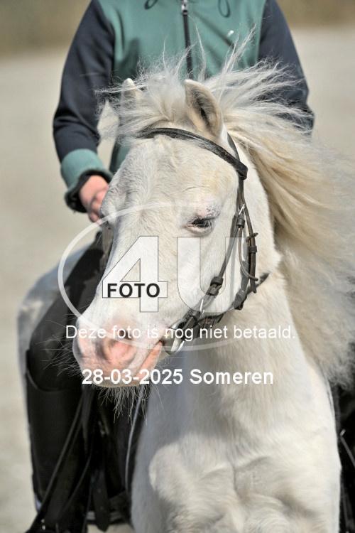 250328 0668