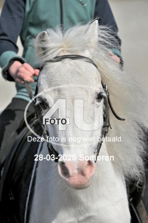 250328 0669