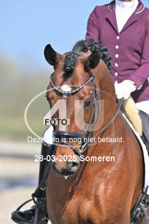 250328 0702