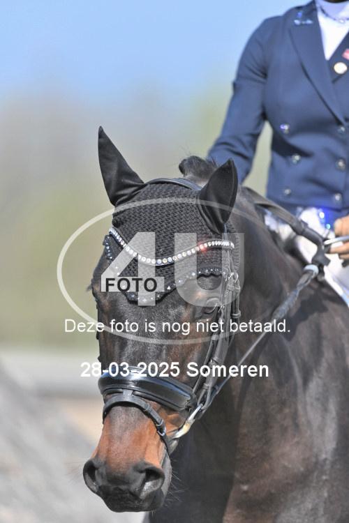 250328 0806