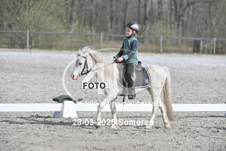 250328 0811