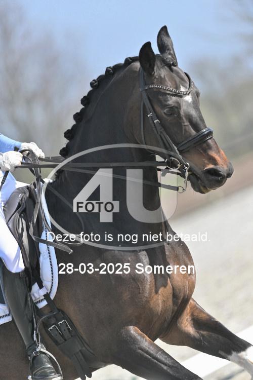 250328 0891