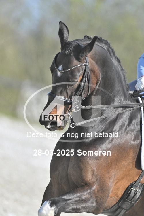 250328 0899