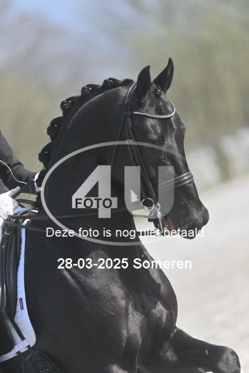 250328 0930