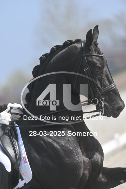 250328 0950