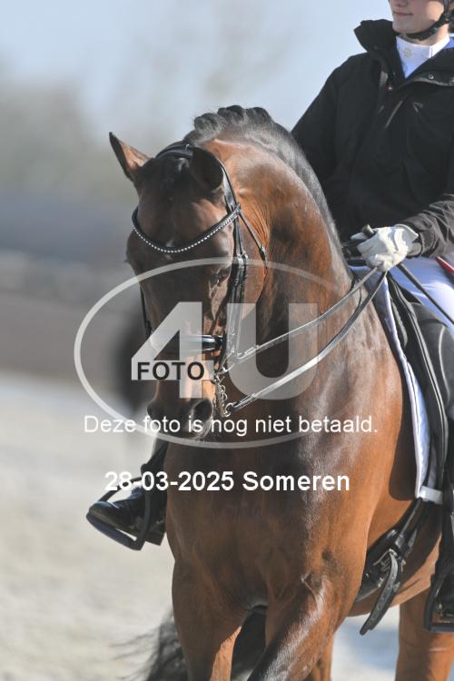 250328 0971
