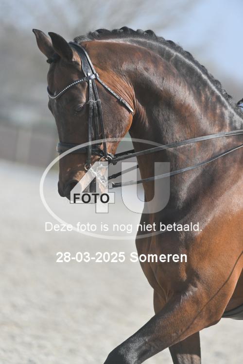 250328 0975