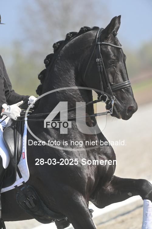250328 0979