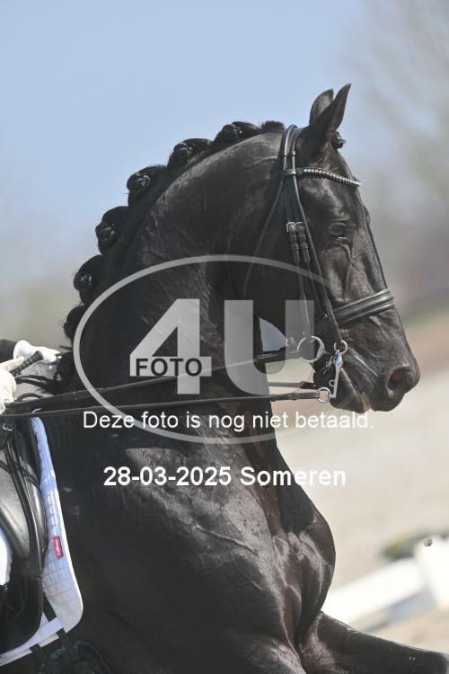 250328 0980