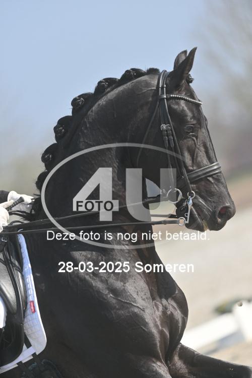 250328 0980 01