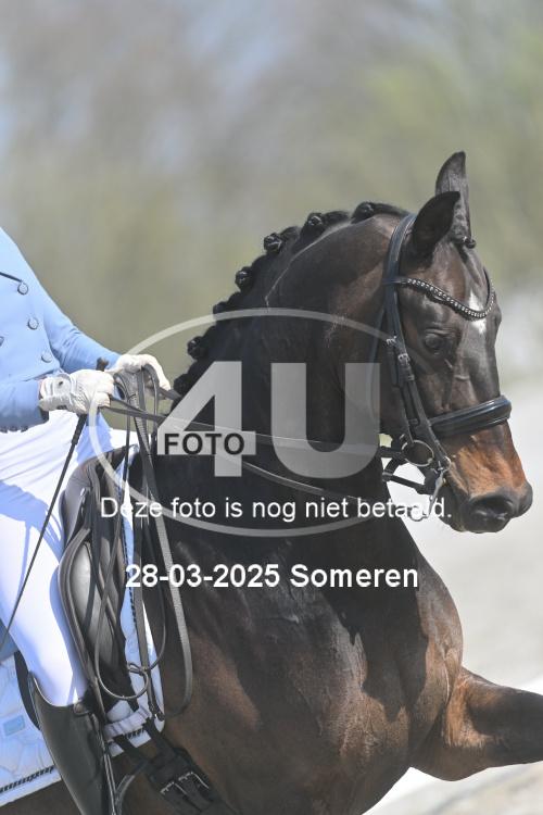 250328 1034