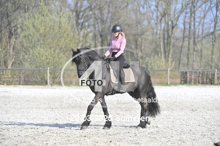 250328 1165