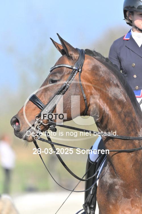 250328 1212