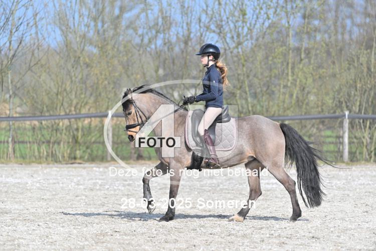 250328 1272