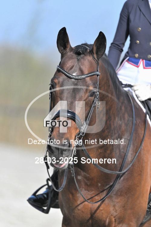 250328 1285