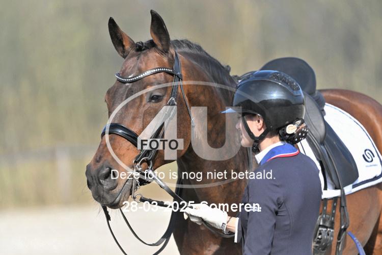250328 1311