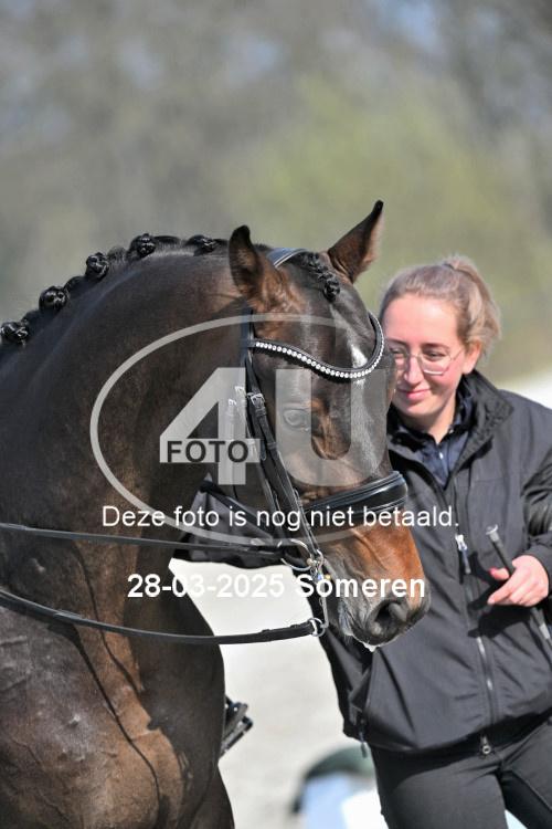 250328 1366