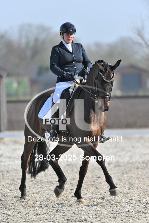250328 1394