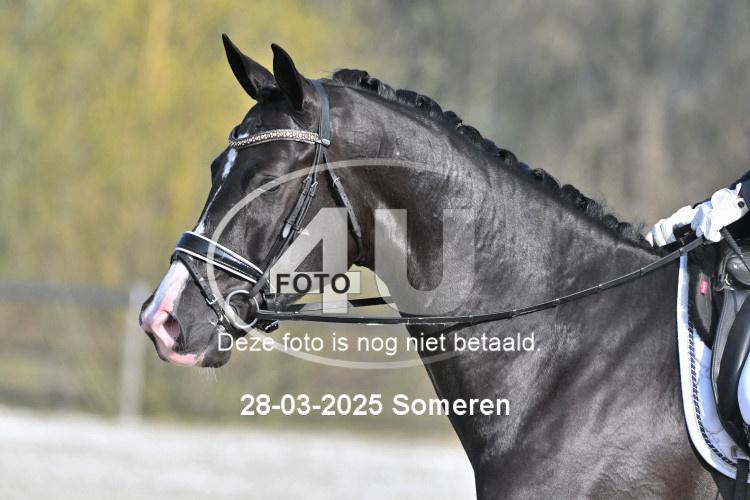 250328 1424