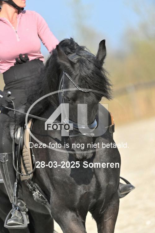 250328 1479