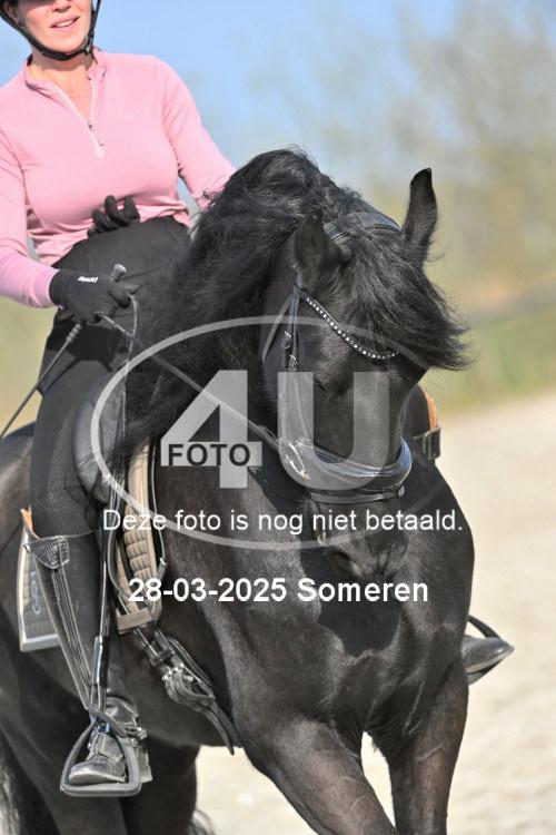 250328 1481
