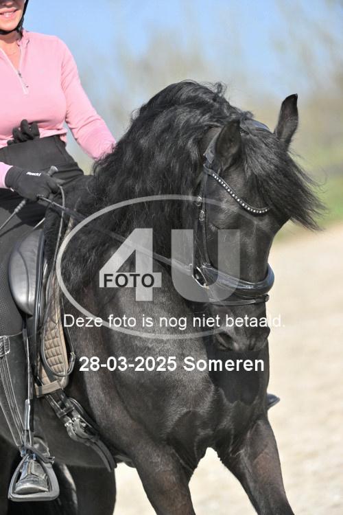 250328 1482