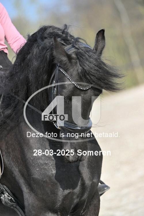 250328 1484