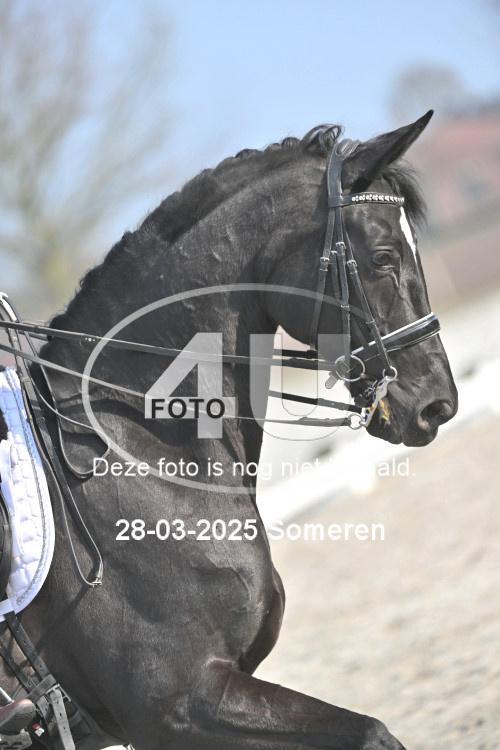 250328 1523