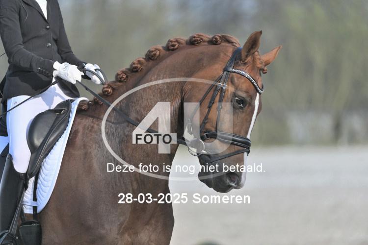 250328 1668