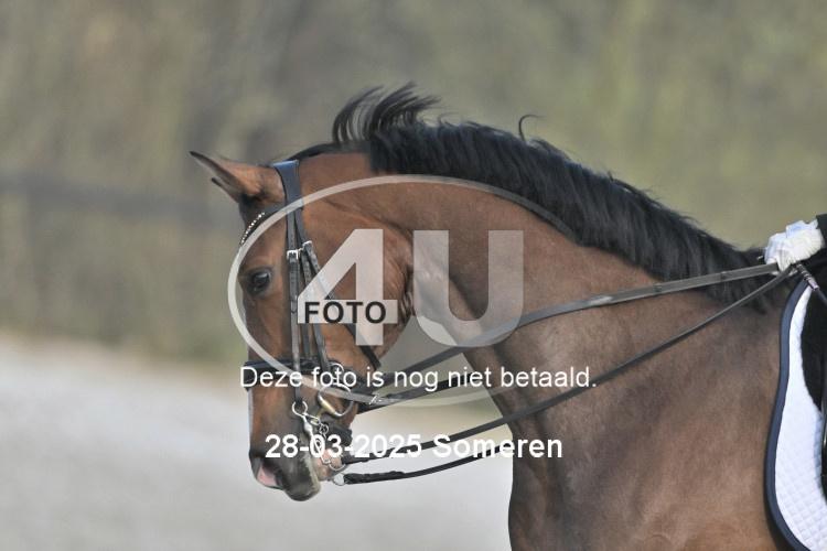 250328 1674