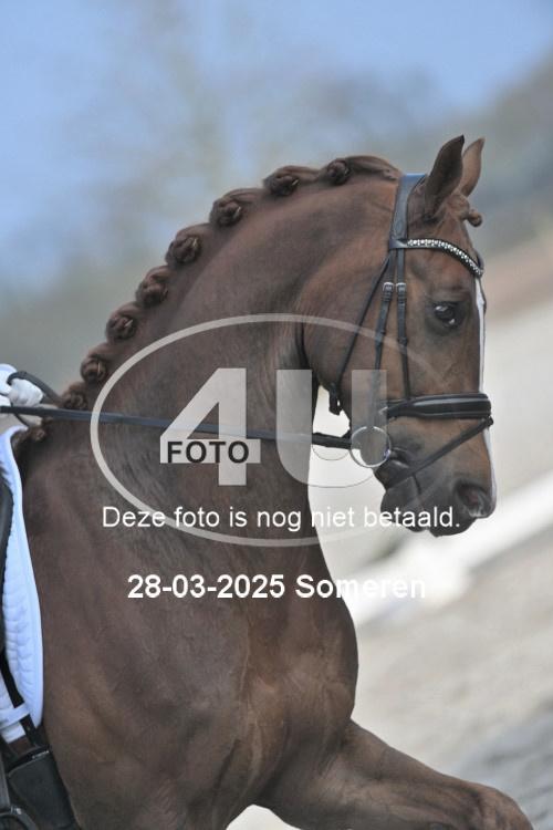 250328 1719